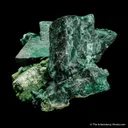 Malachite ps. after Azurite on Mottramite - image 3