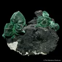 Malachite ps. Azurite - image 1