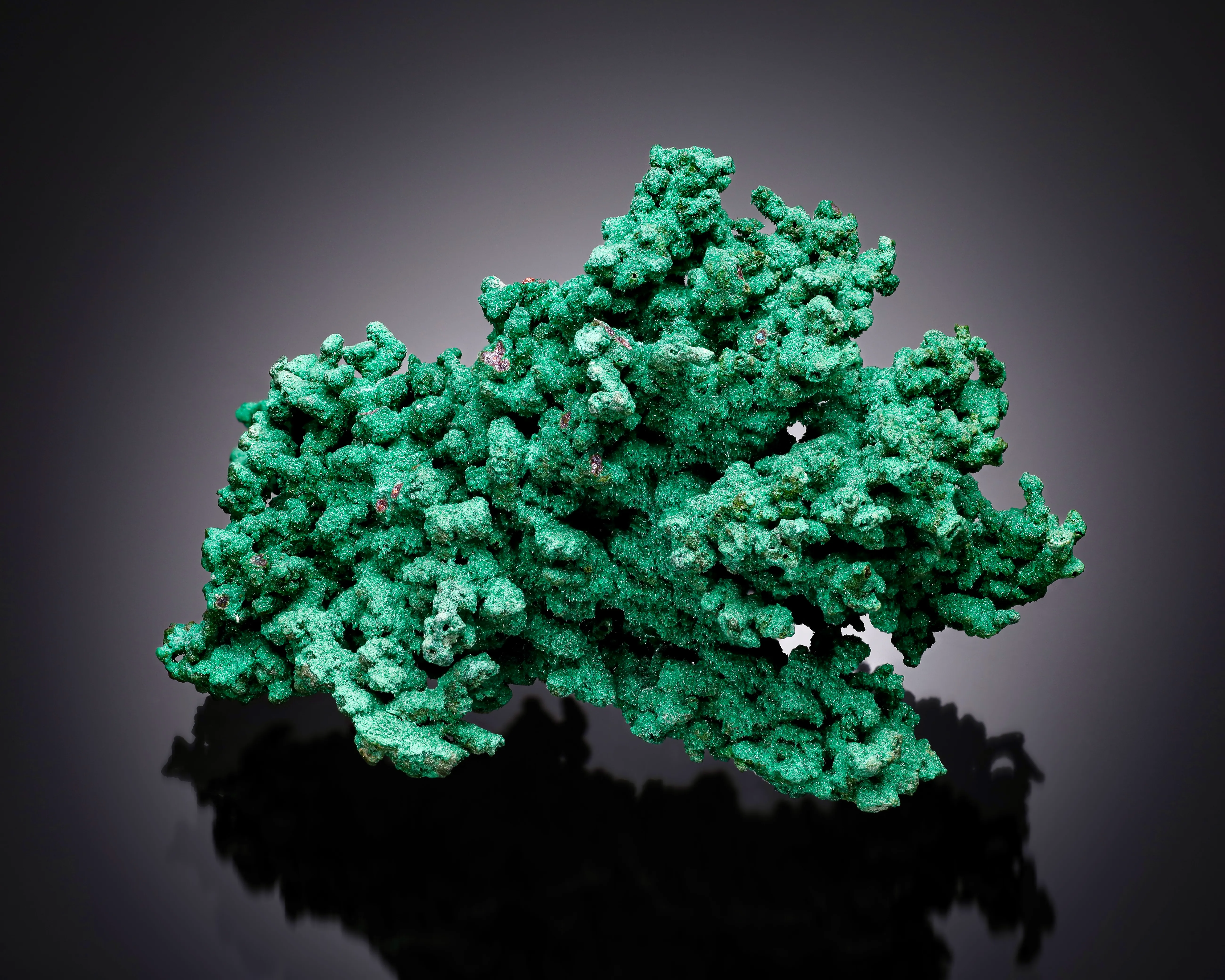 Malachite ps. Copper Namibia, Oshikoto Region, Tsumeb - image 1