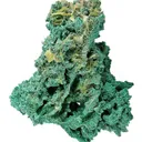 Malachite Pseudo. After Copper, With Wulfenite - image 2