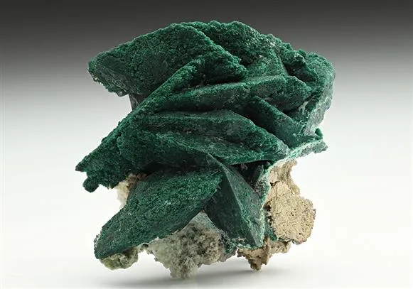 Malachite pseudomorph after Azurite image
