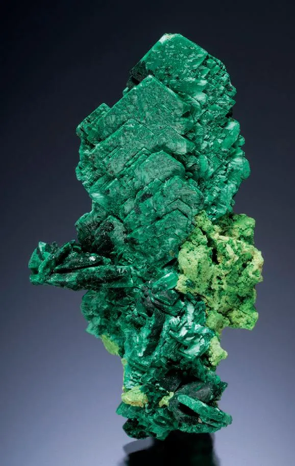 Malachite pseudomorph after Azurite, Bayldonite image