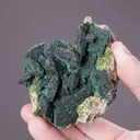Malachite Pseudomorph After Azurite, on Mimetite & CONICLACITE - image 2