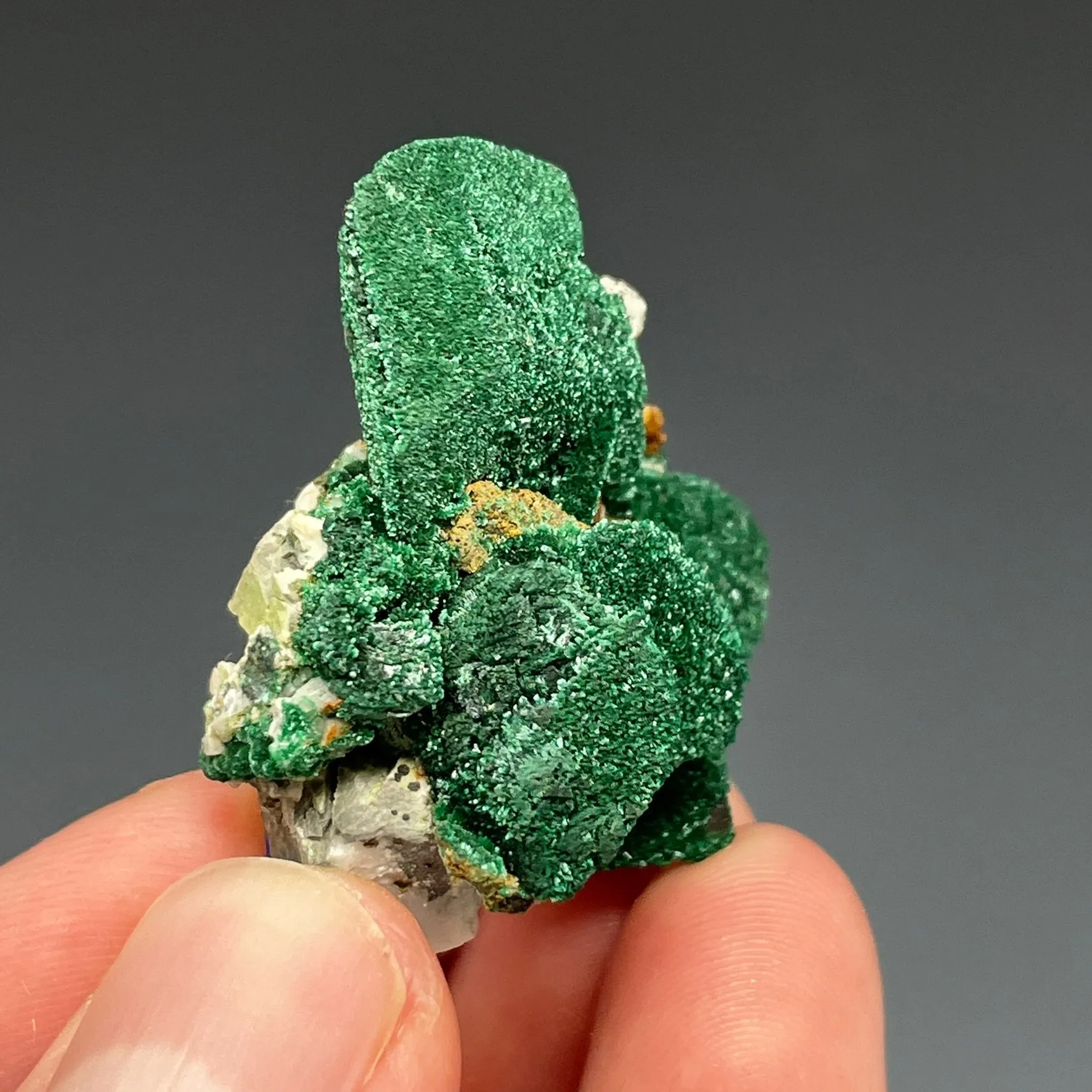 Malachite Pseudomorph after Azurite with Brochantite or Antlerite? - image 3