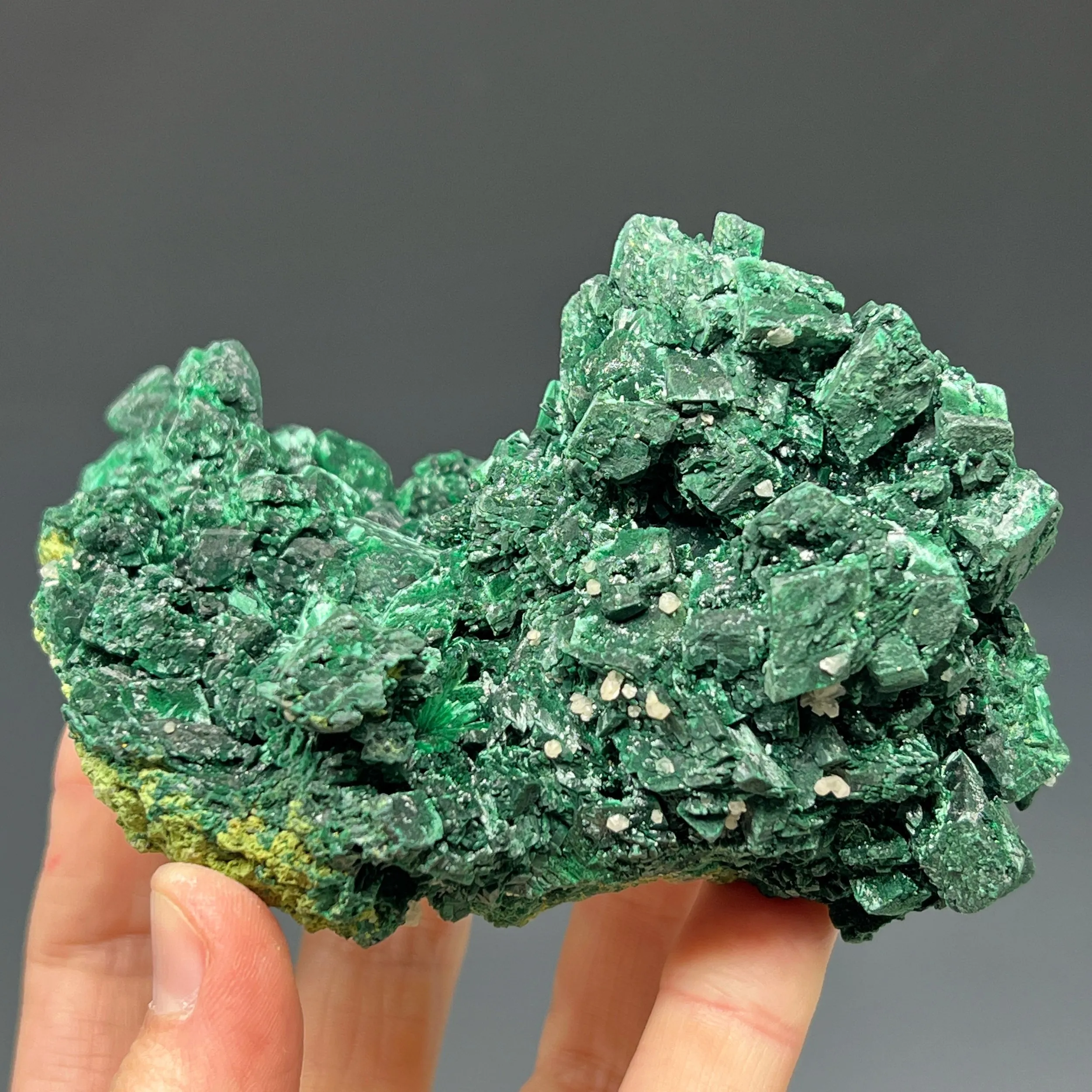 Malachite Pseudomorph after Azurite with Cerussite - image 2