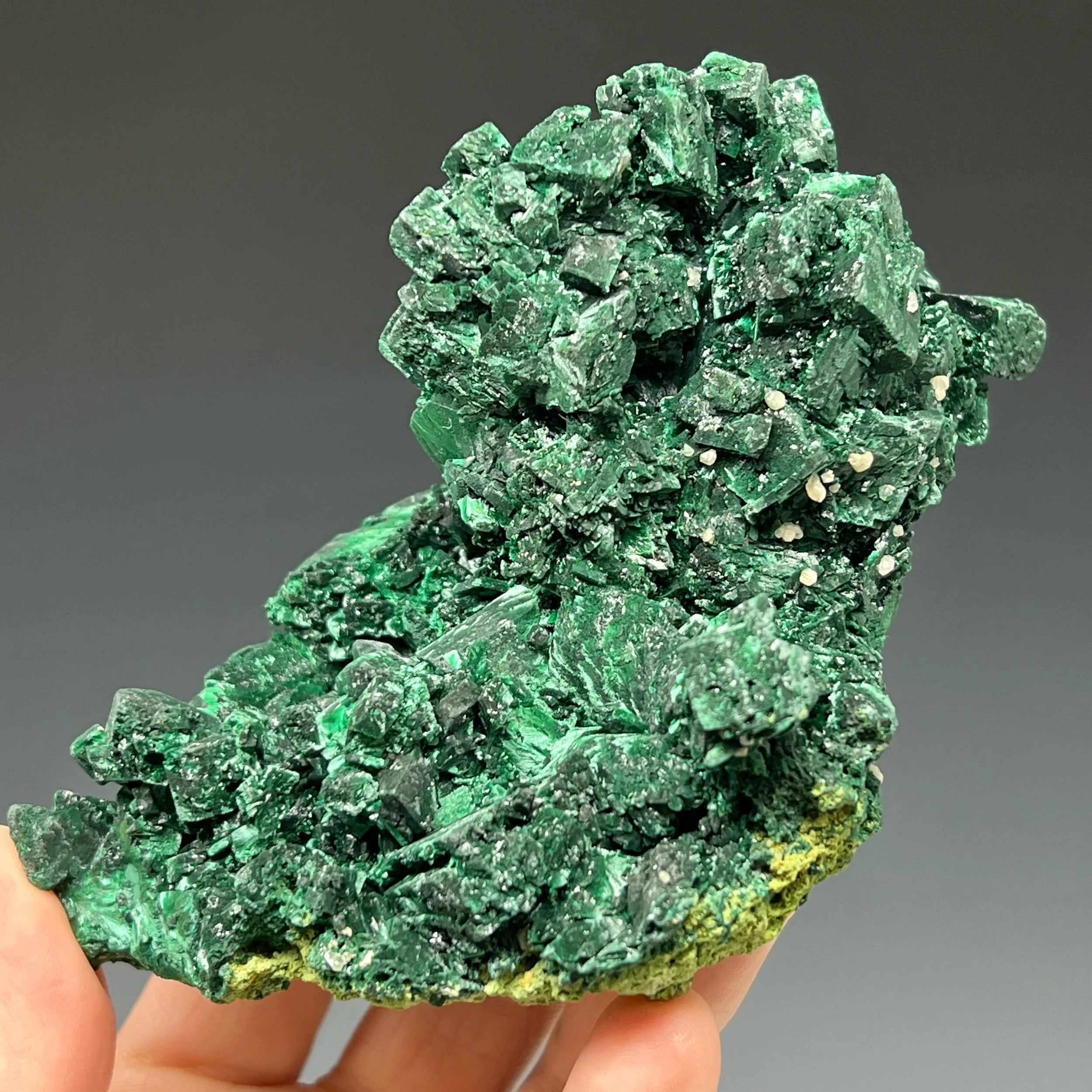 Malachite Pseudomorph after Azurite with Cerussite - image 4