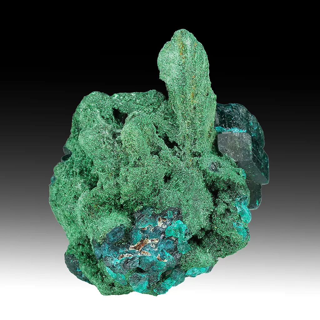 Malachite pseudomorph with Dioptase image