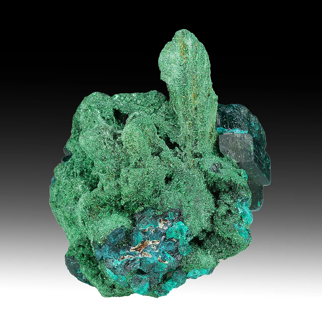Malachite pseudomorph with Dioptase - image 1