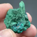 Malachite pseudomorph with Dioptase - image 2