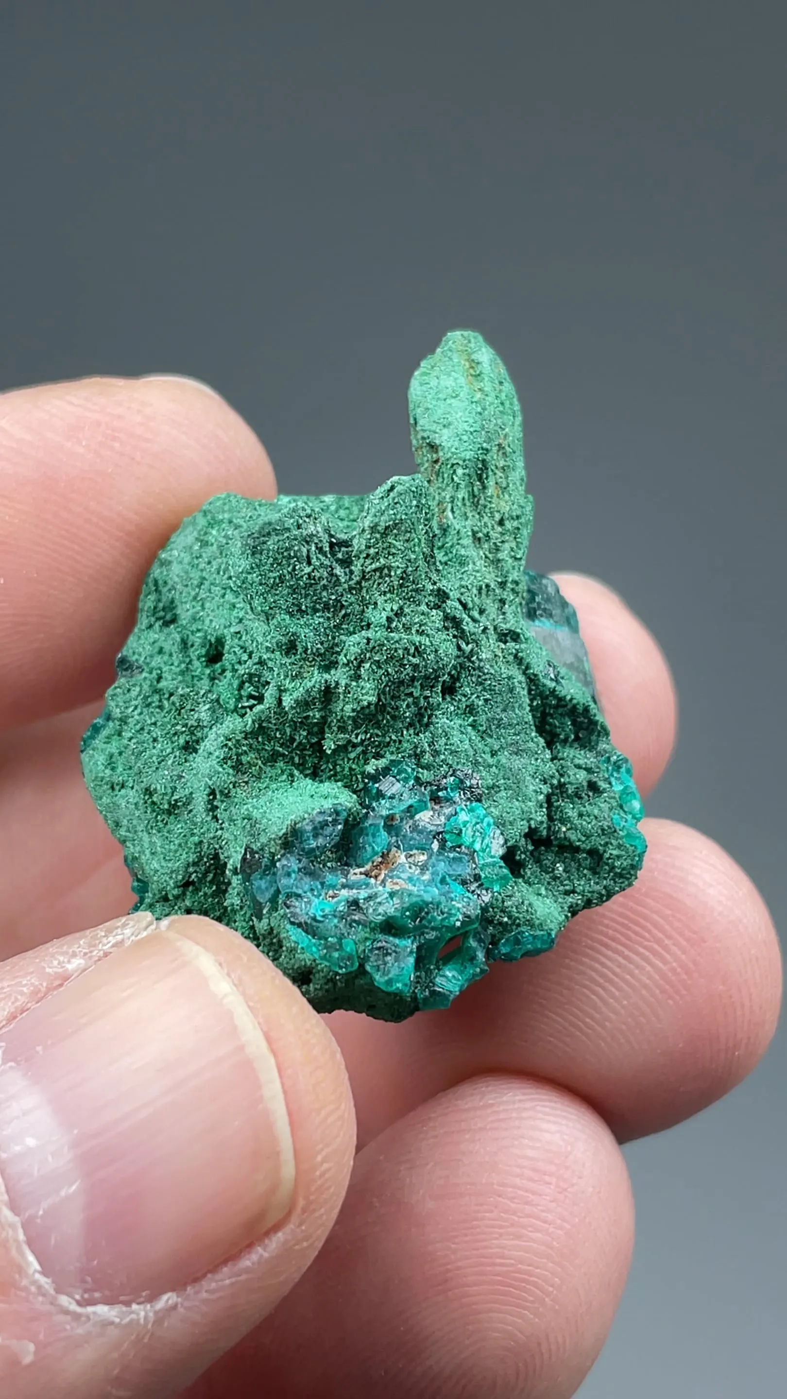 Malachite pseudomorph with Dioptase - image 2