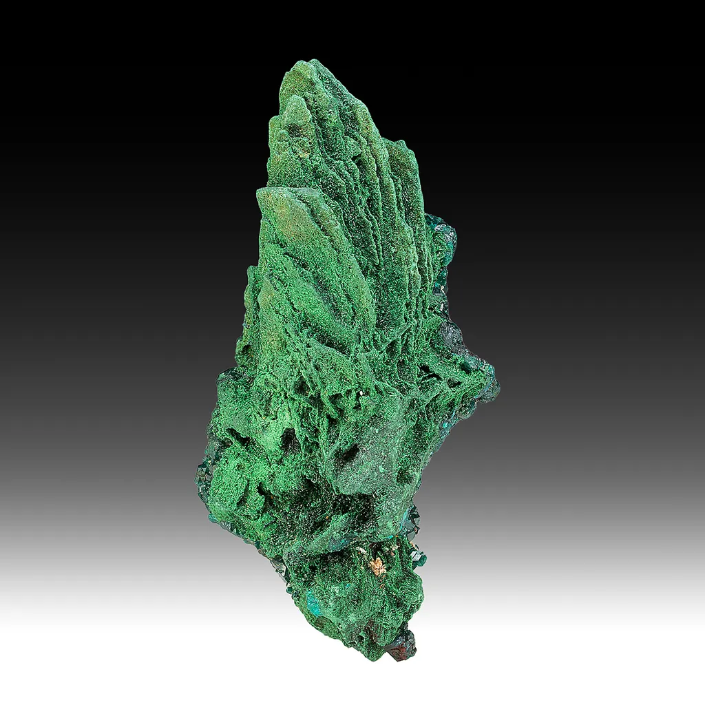 Malachite pseudomorph with Dioptase image