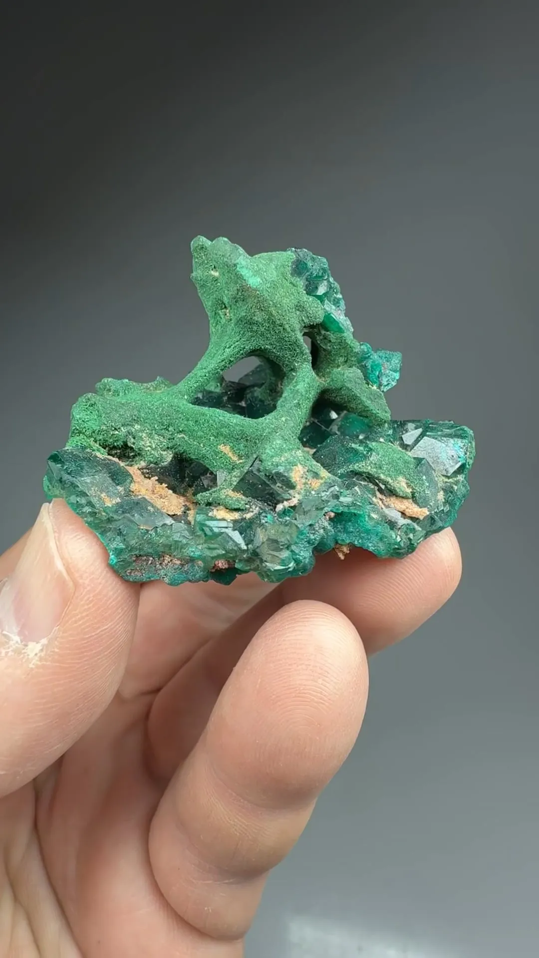 Malachite pseudomorph with Dioptase - image 2