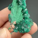 Malachite pseudomorph with Dioptase - image 2