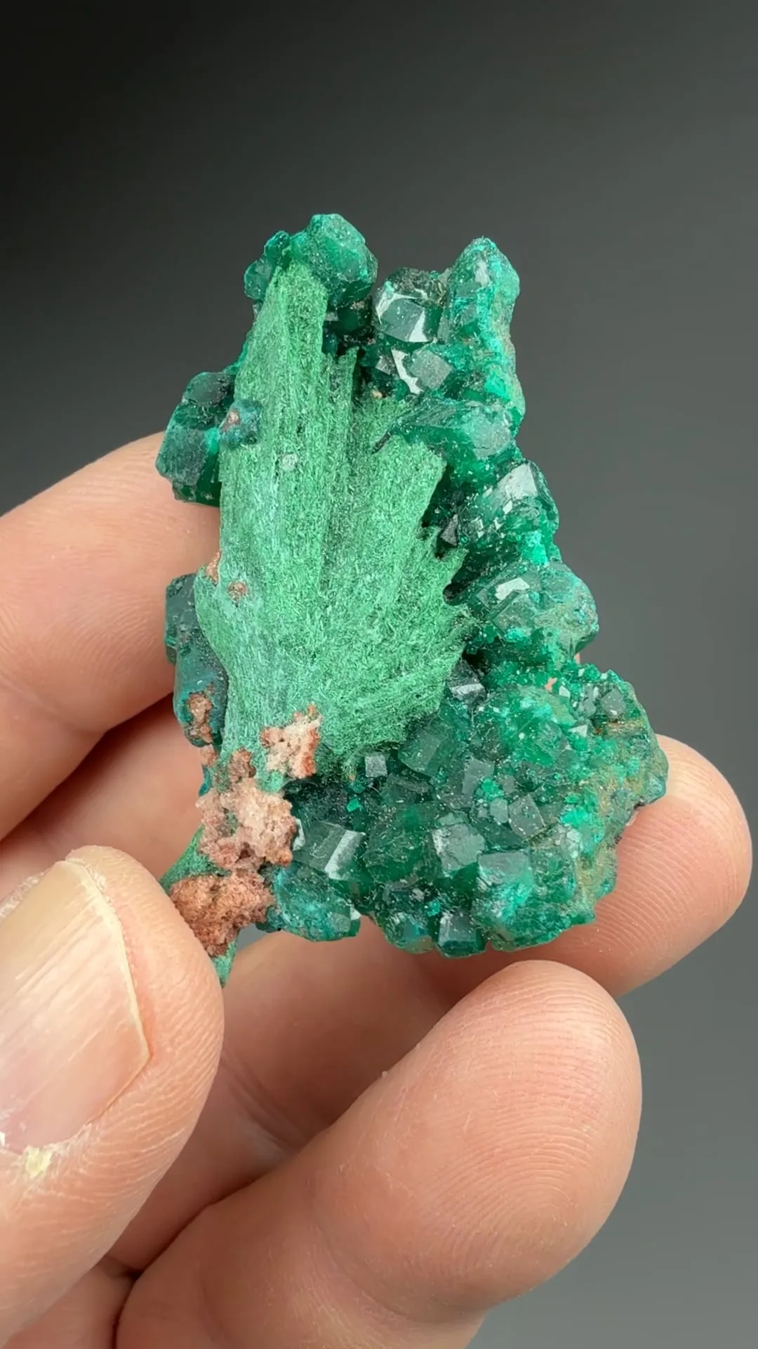 Malachite pseudomorph with Dioptase - image 2