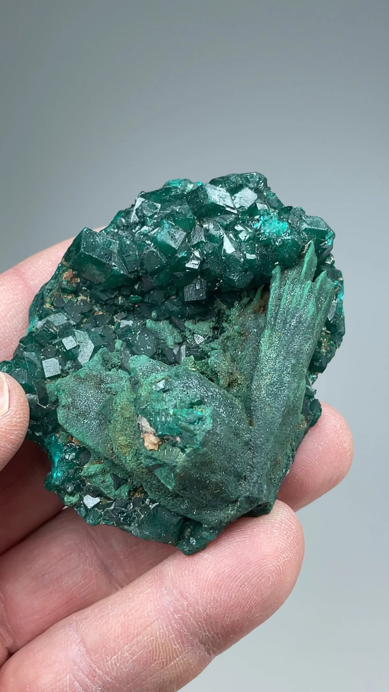 Malachite pseudomorph with Dioptase - image 2