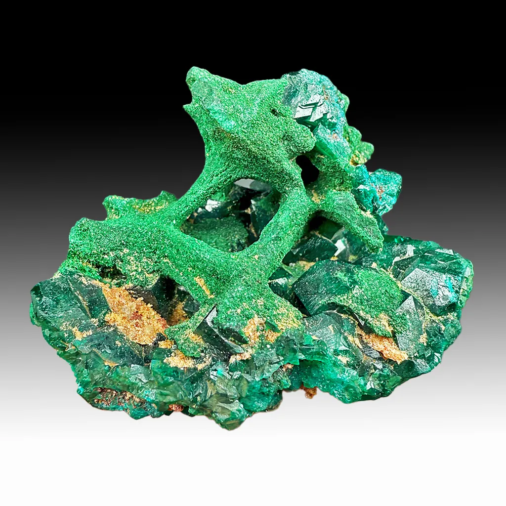 Malachite pseudomorph with Dioptase image