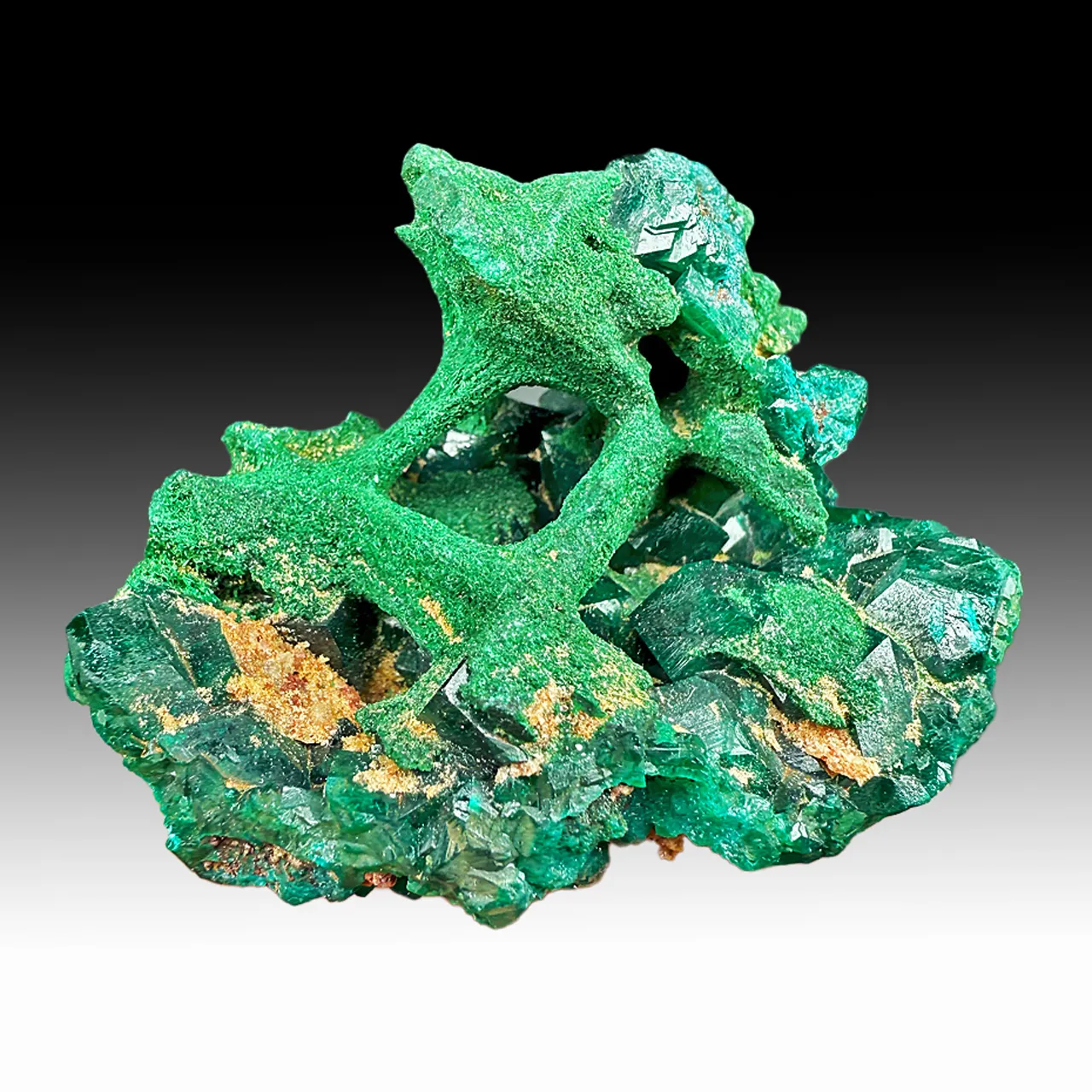 Malachite pseudomorph with Dioptase - image 1