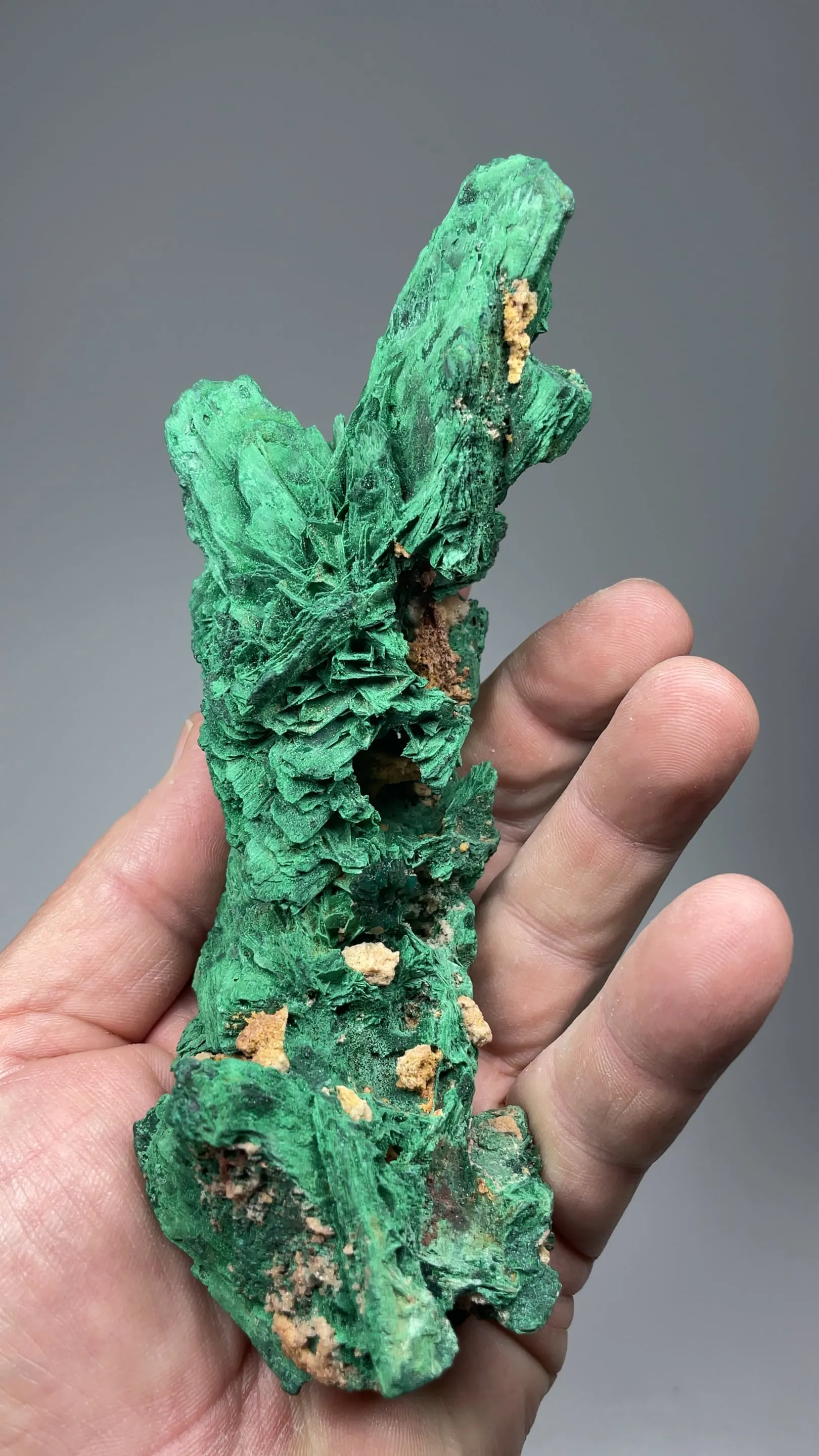 Malachite pseudomorph with Dioptase - image 2
