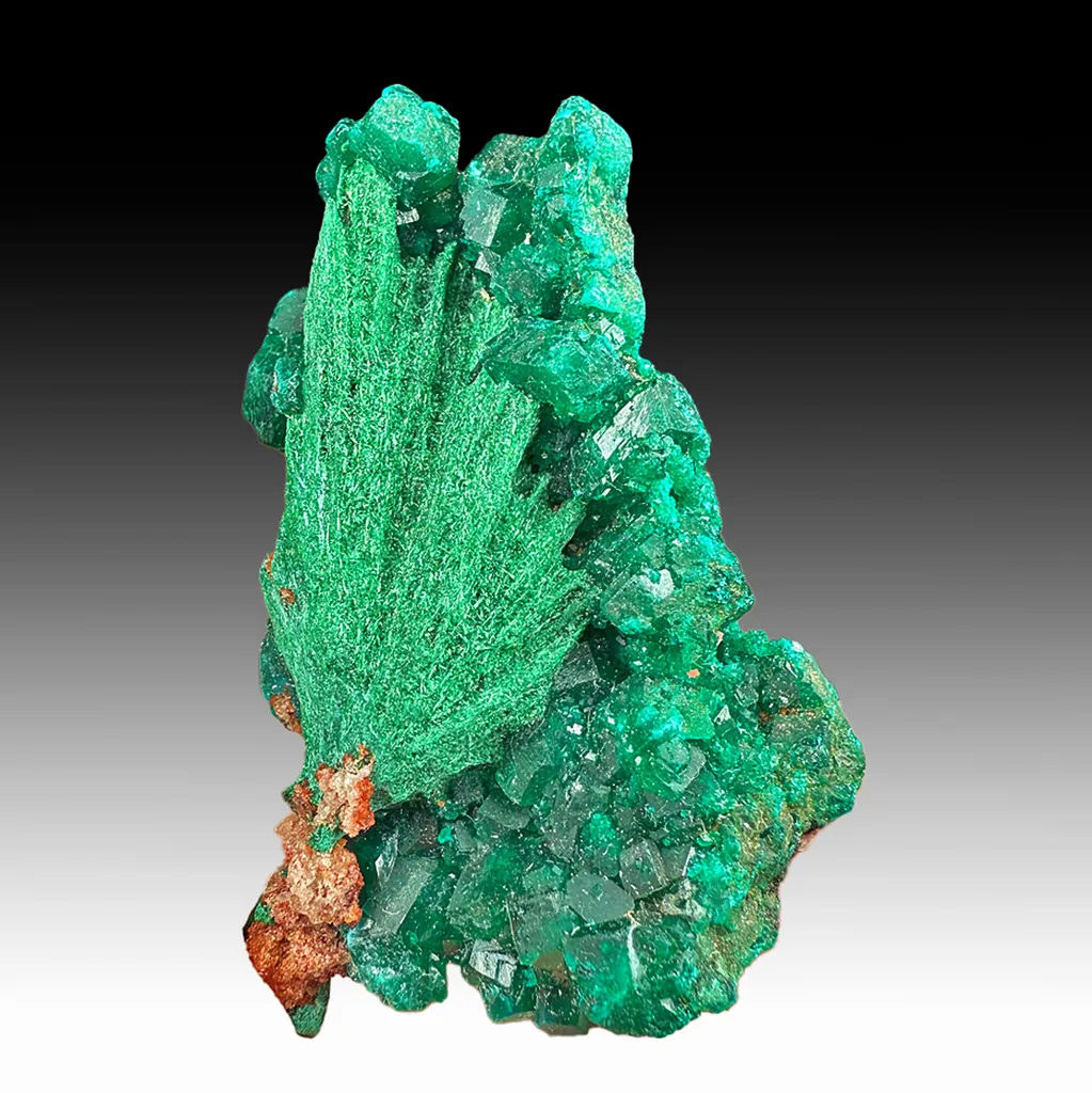 Malachite pseudomorph with Dioptase image
