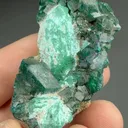 Malachite pseudomorph with Dioptase - image 2