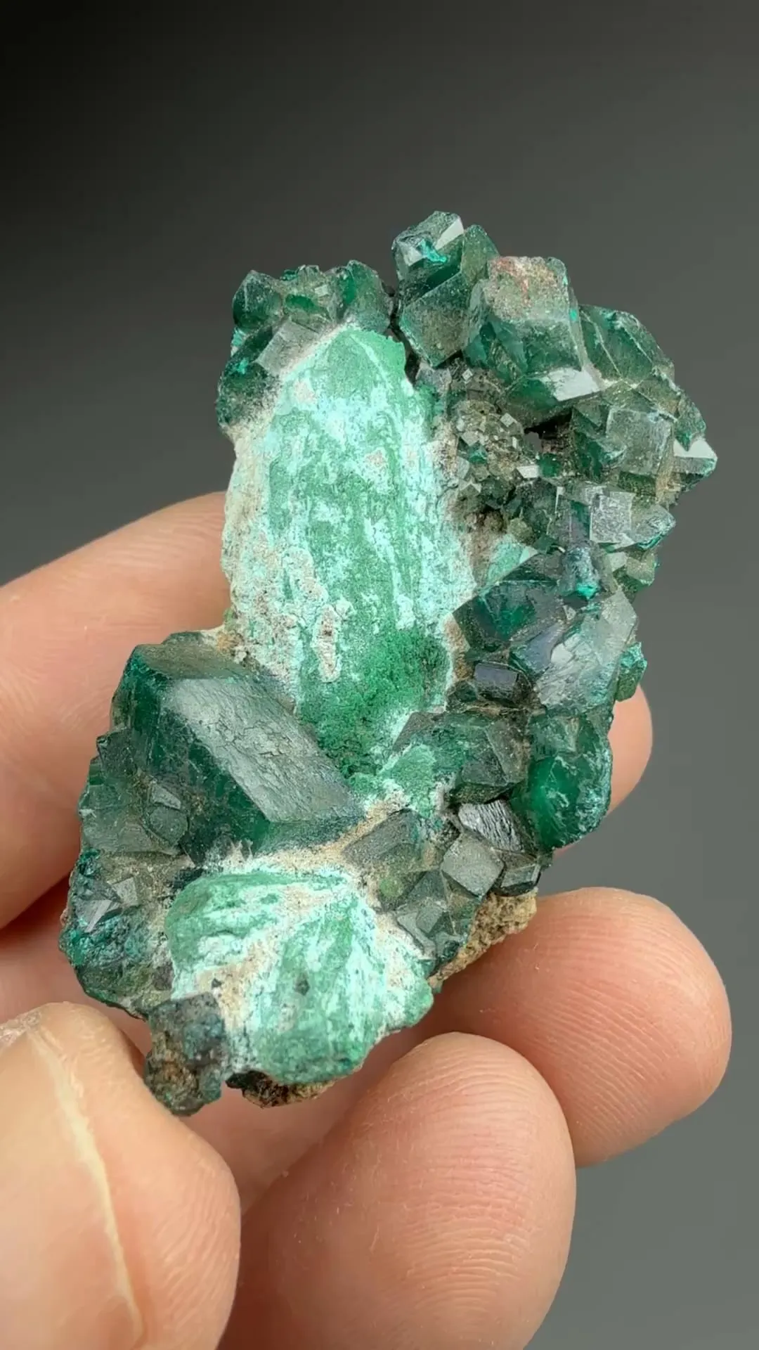 Malachite pseudomorph with Dioptase - image 2