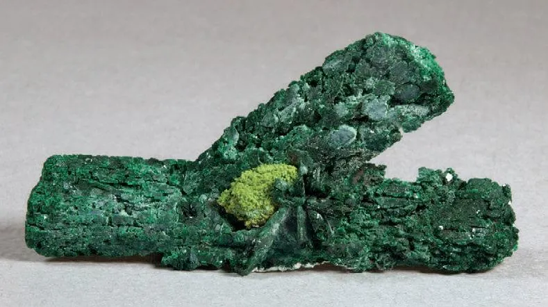 Malachite pseudomorphs after Azurite image