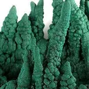 Malachite (Stalactites) - image 3