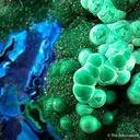 Malachite With Azurite - image 2