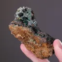 Malachite with Azurite in LIMONITE - image 2