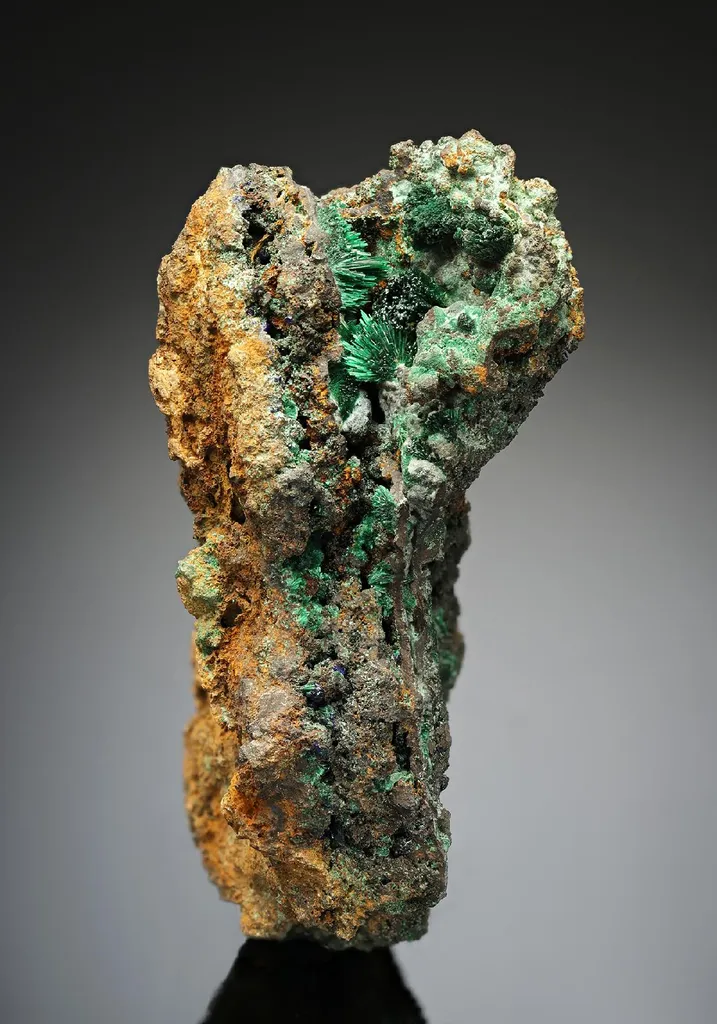 Malachite with Azurite in LIMONITE image
