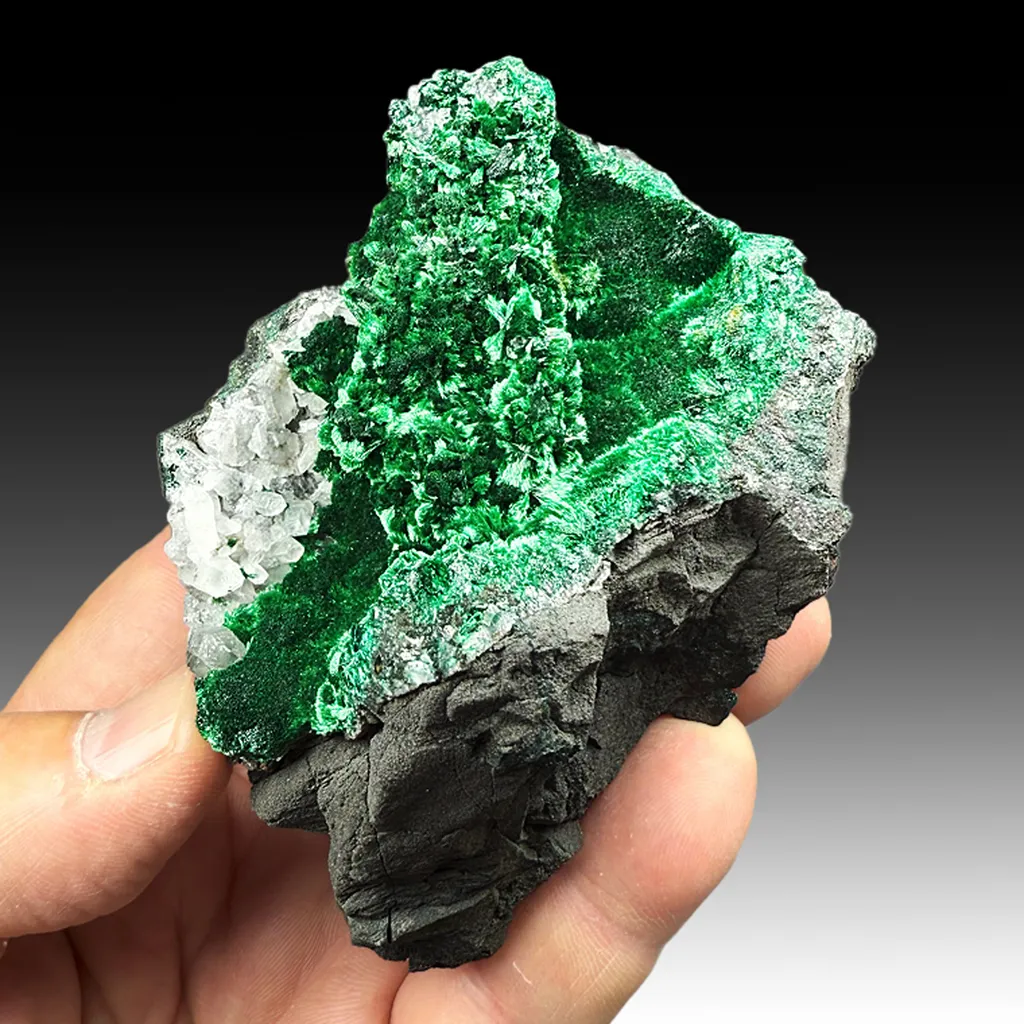 Malachite with Calcite image