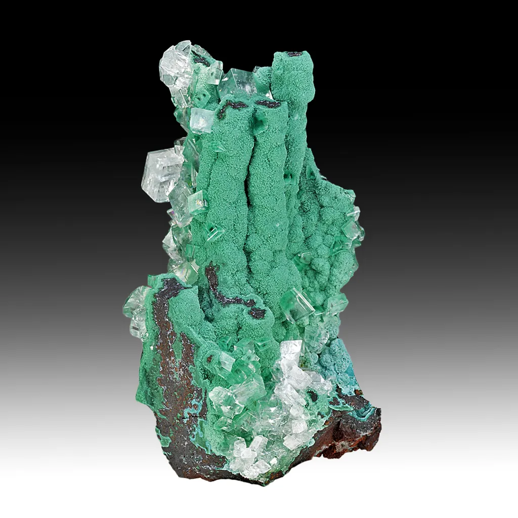 Malachite with Calcite image