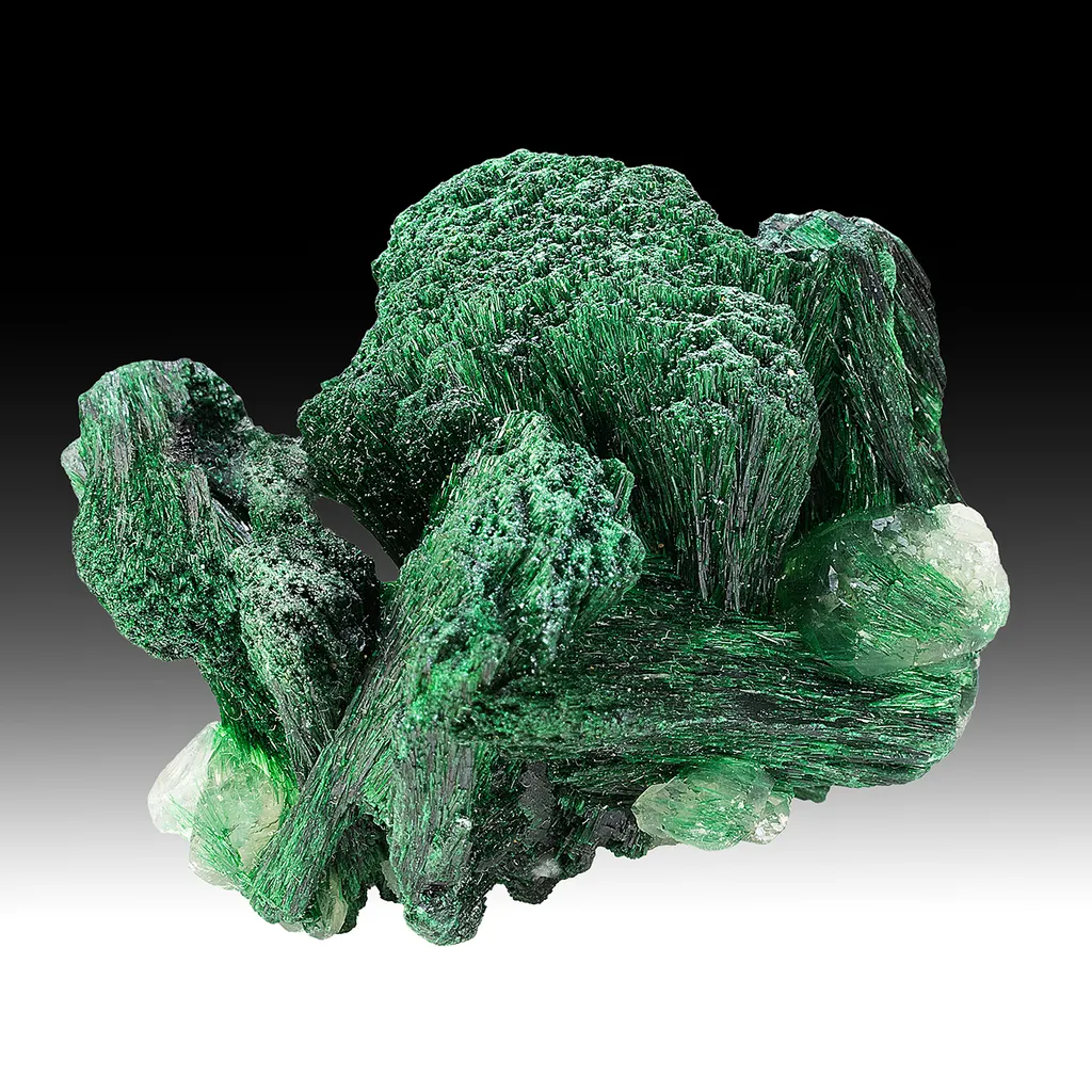 Malachite with Calcite image