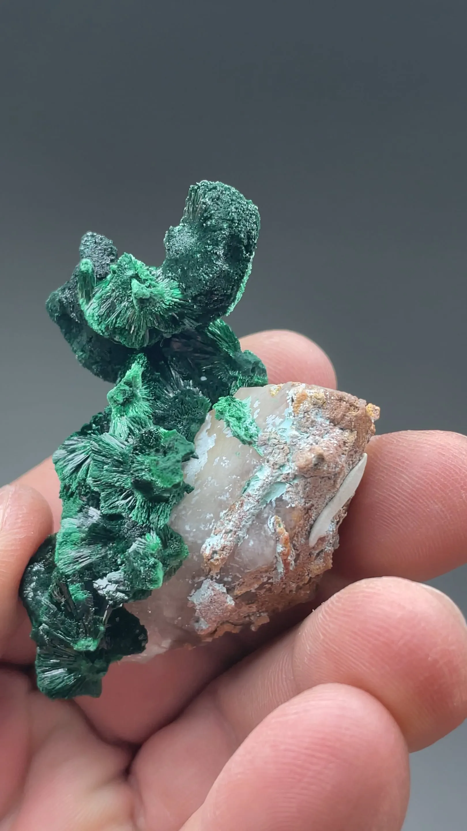Malachite with Calcite - image 2