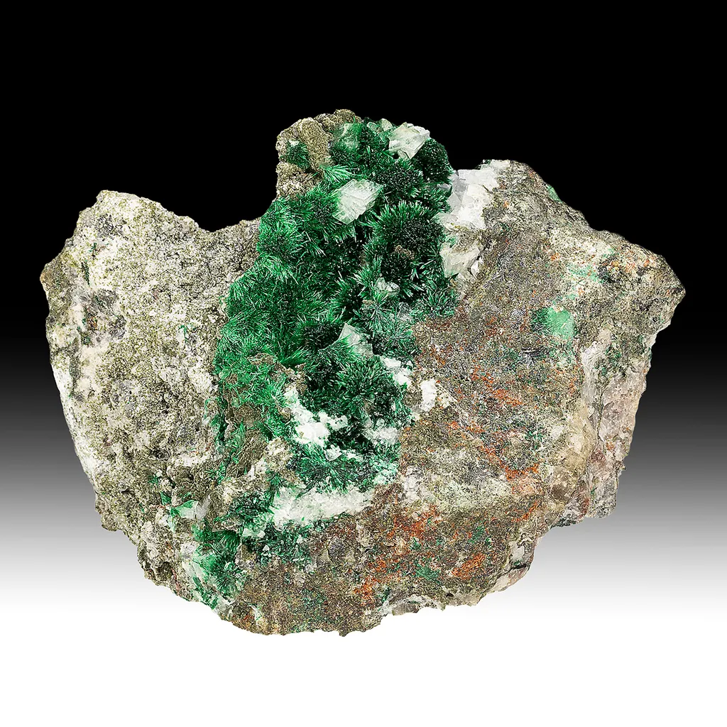 Malachite with Calcite image