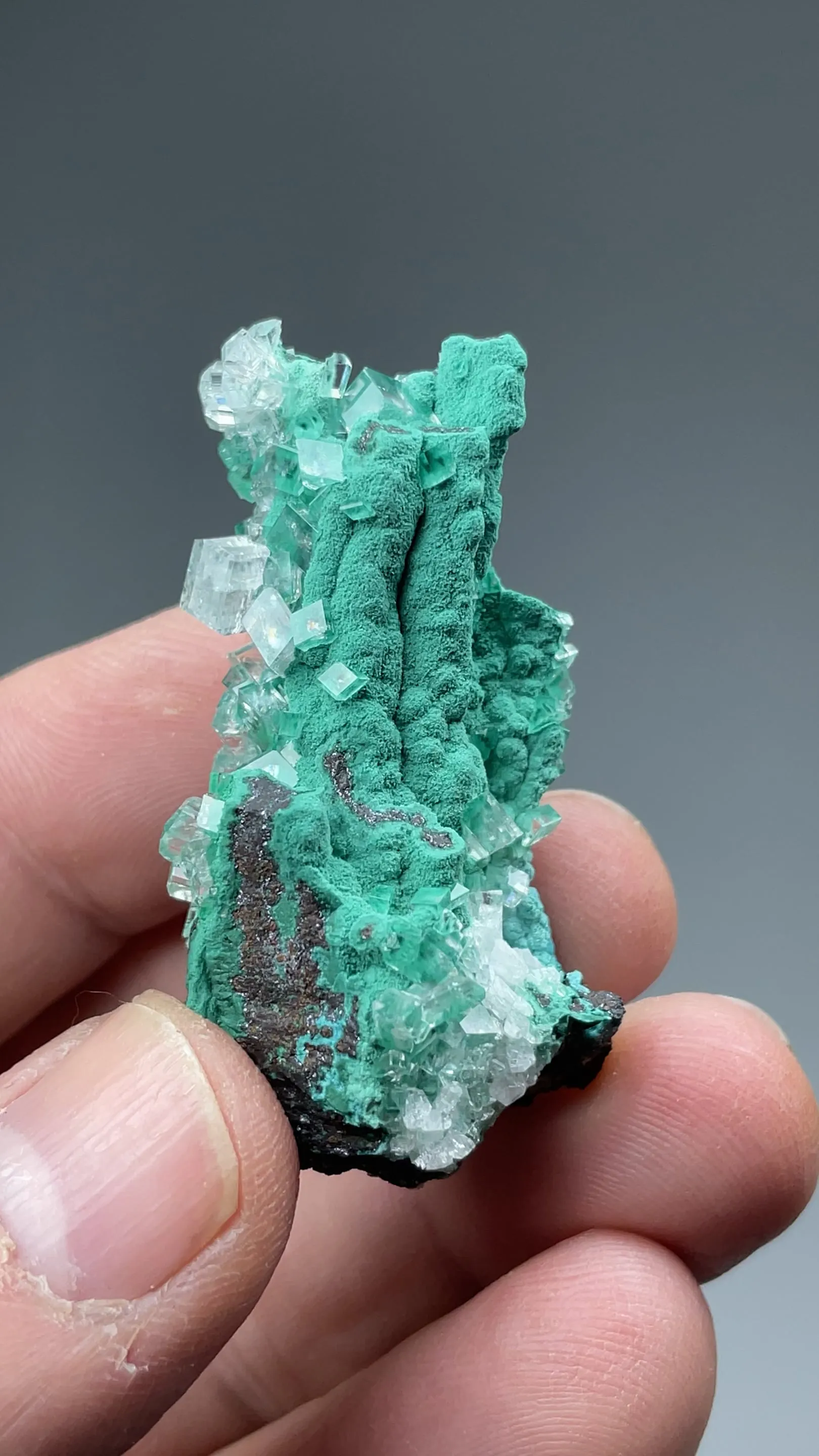 Malachite with Calcite - image 2