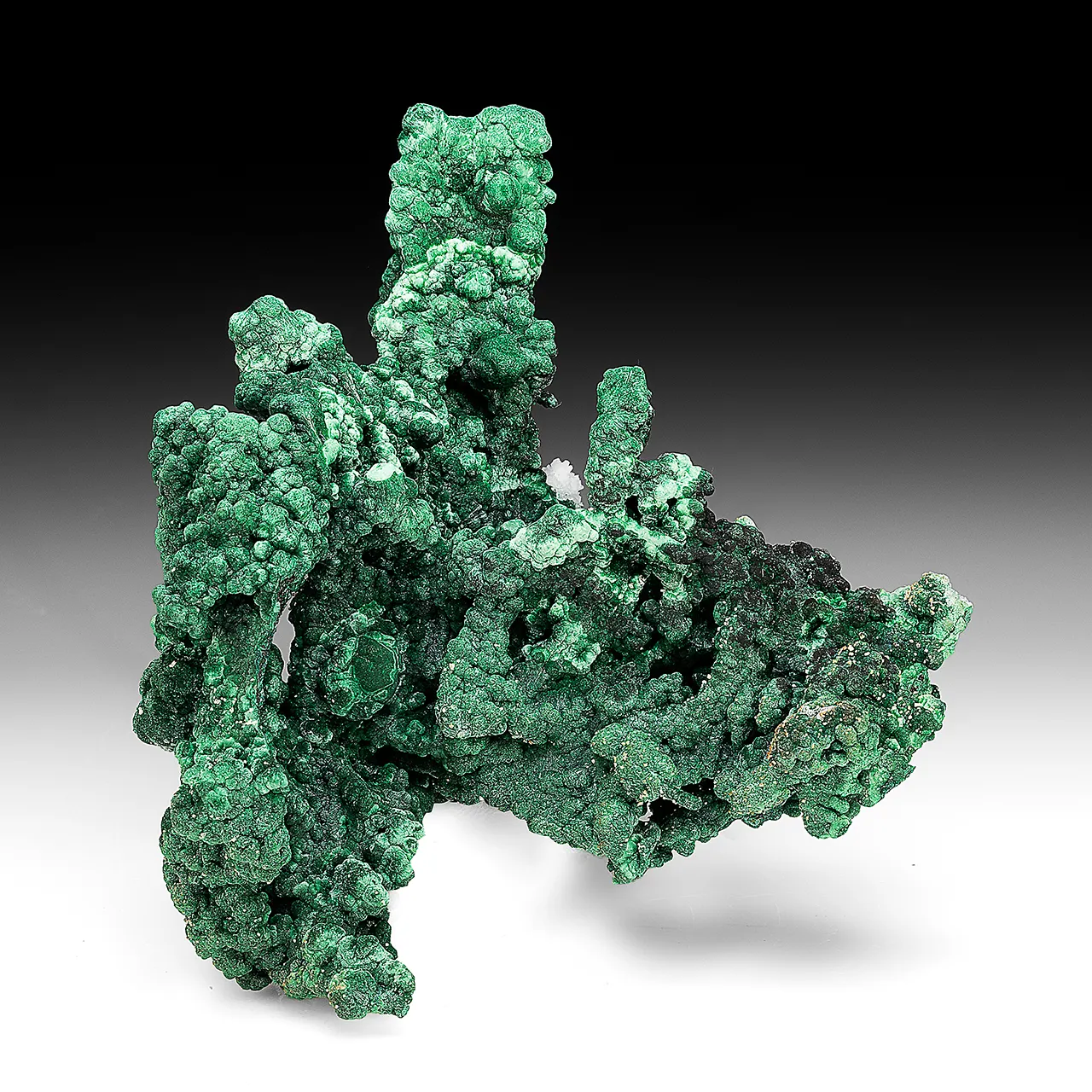 Malachite with Calcite, Cerussite - image 1