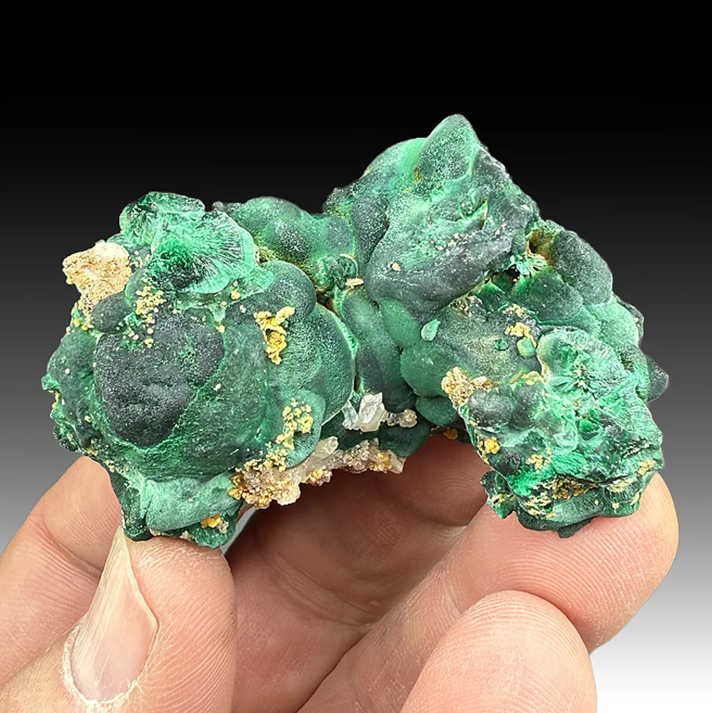 Malachite with Cerussite, Pyromorphite image