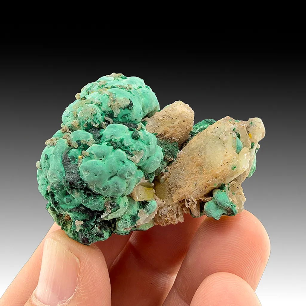 Malachite with Cerussite, Pyromorphite image