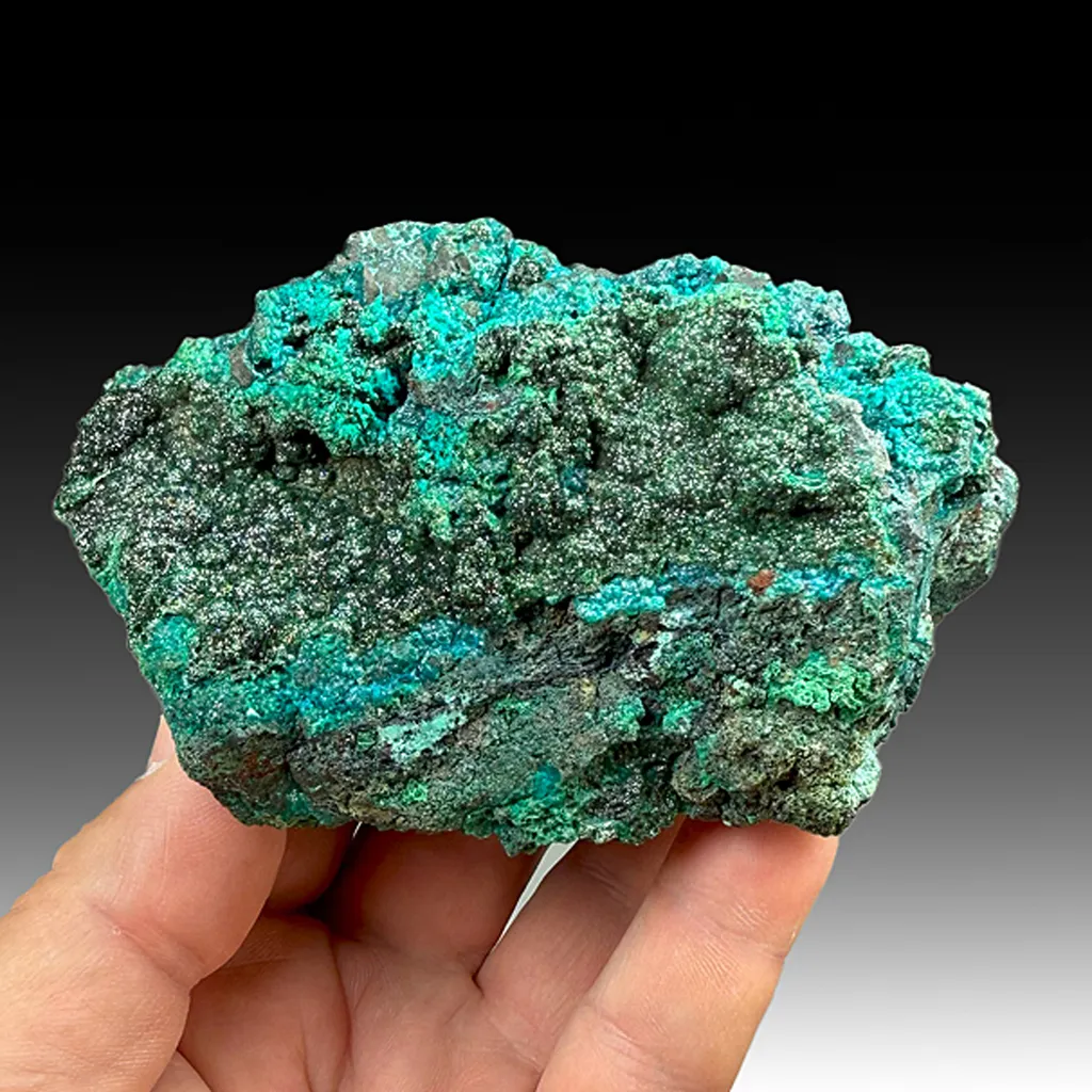 Malachite with Chrysocolla image