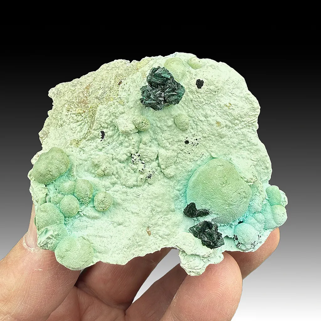 Malachite with Chrysocolla image