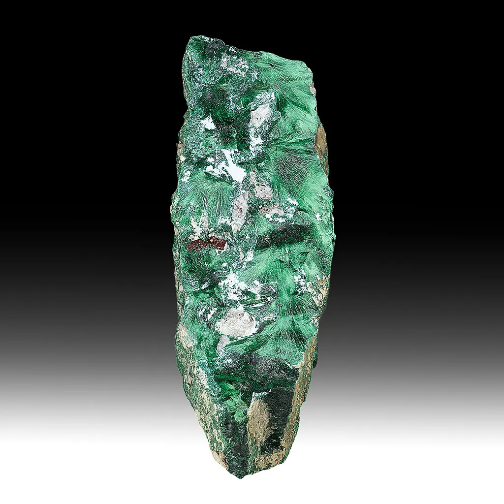 Malachite with Chrysocolla image