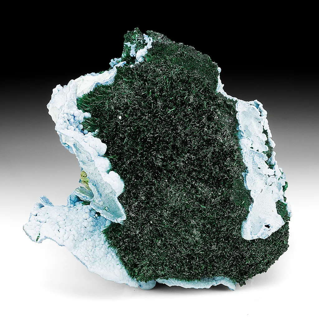 Malachite with Chrysocolla image