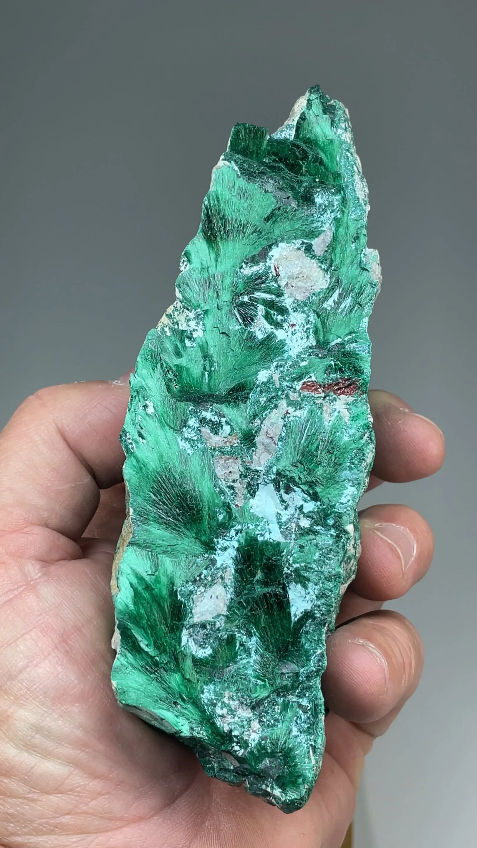 Malachite with Chrysocolla - image 2