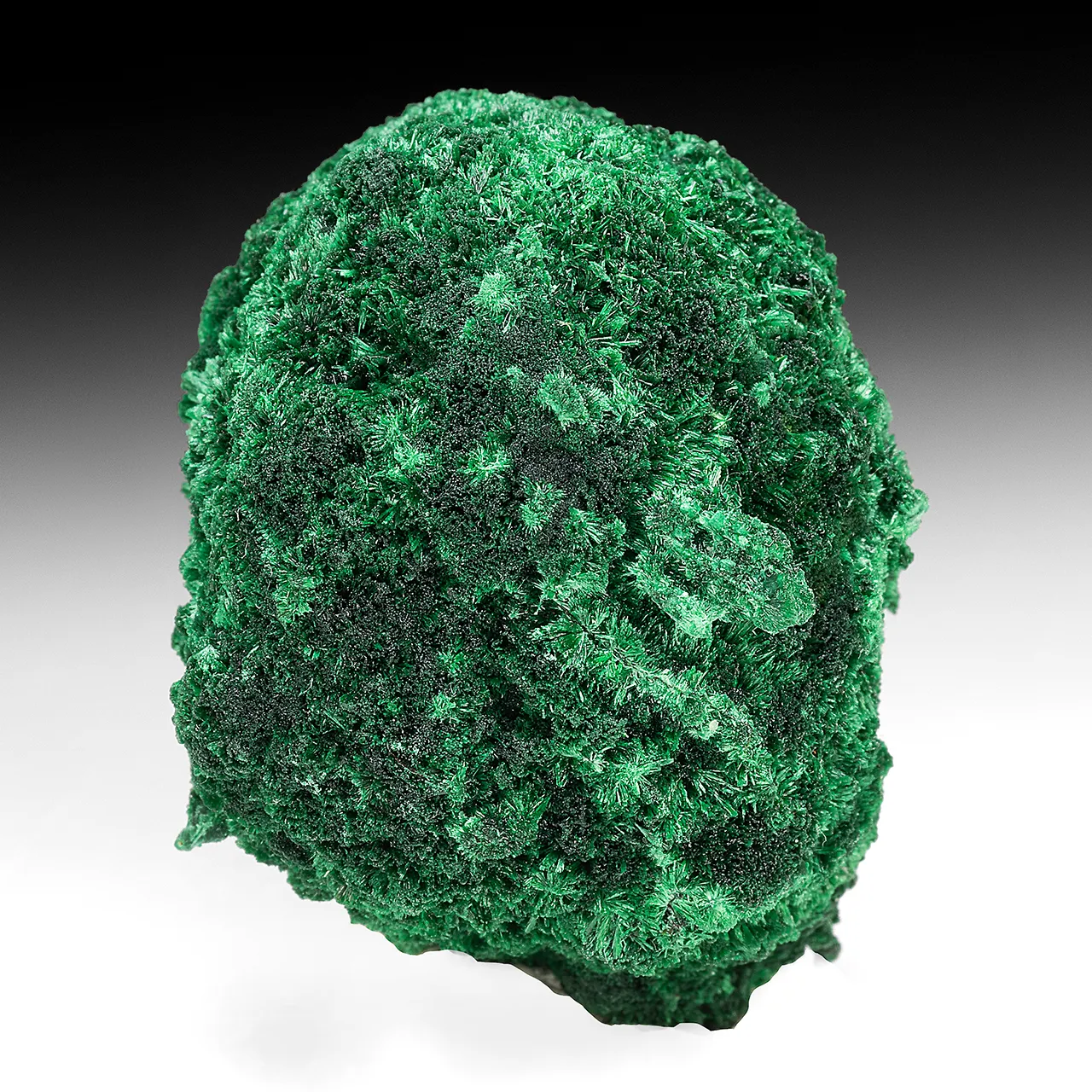 Malachite with Cuprite - image 1