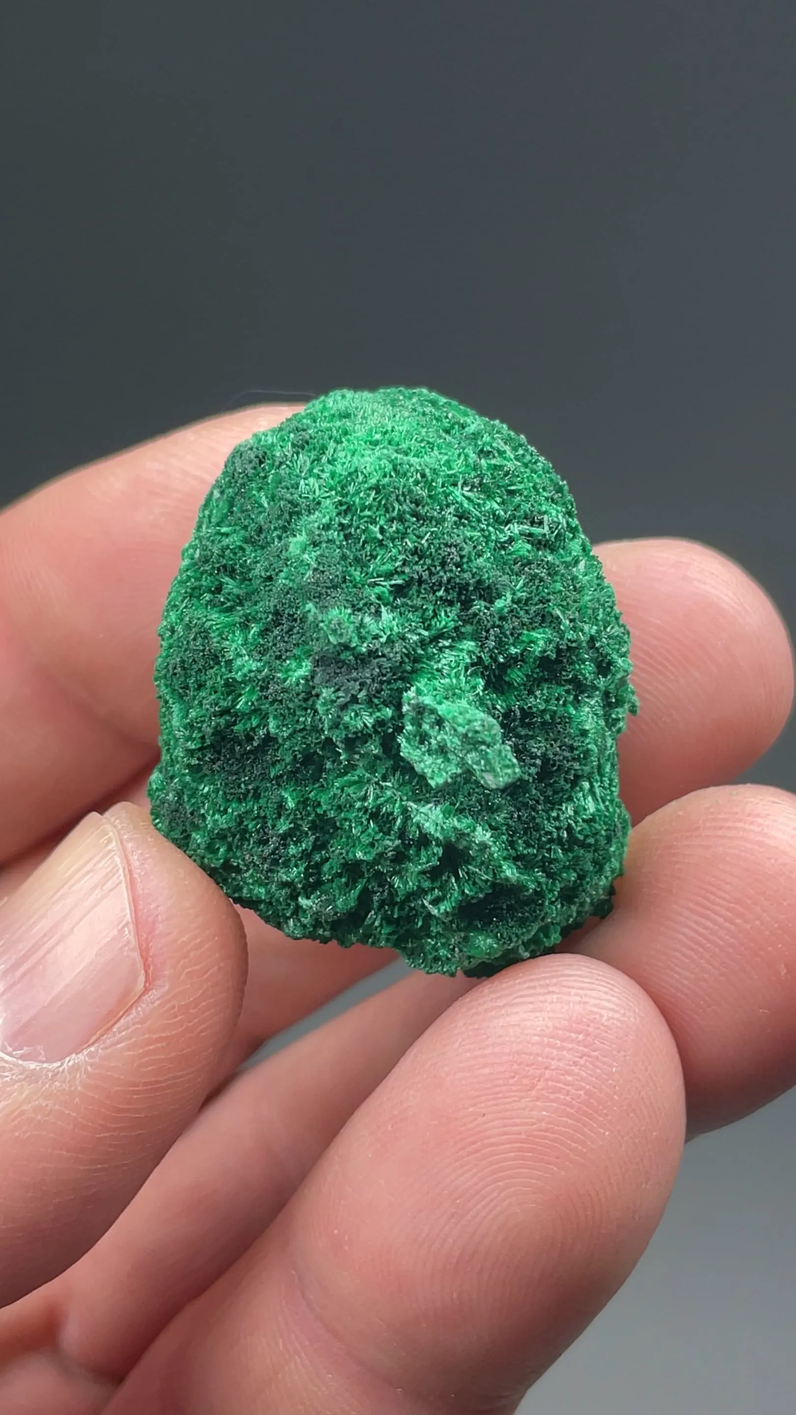Malachite with Cuprite - image 2