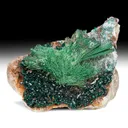 Malachite with Dioptase - image 1