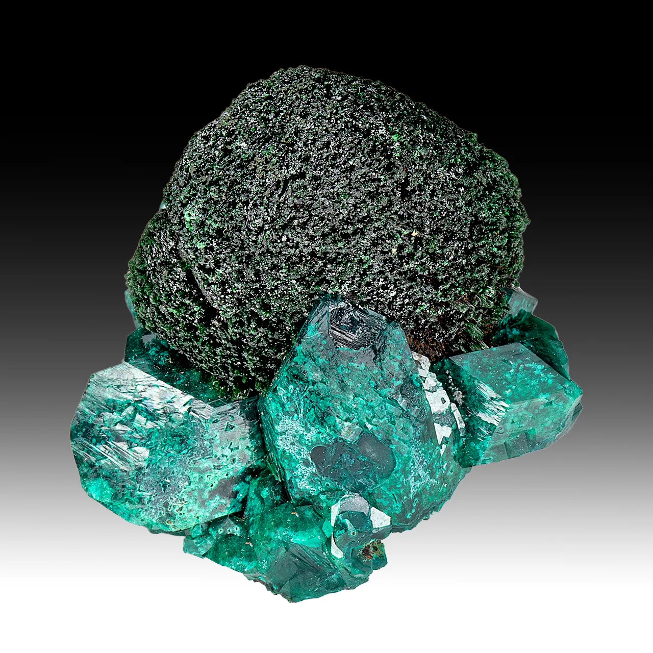 Malachite with Dioptase - image 1