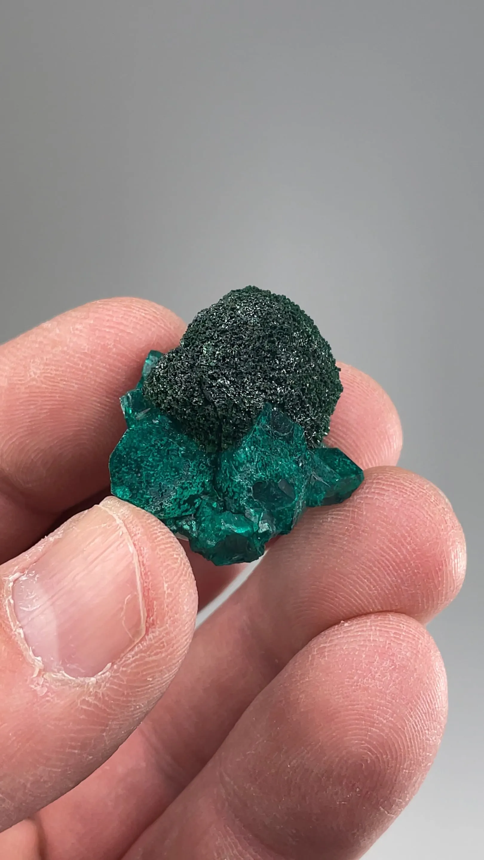 Malachite with Dioptase - image 2