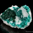 Malachite with Dioptase on Calcite - image 5
